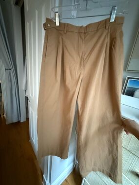 Abercrombie & Fitch Utility Tailored Wide Leg Pant, Tan, Sz. 30 Short